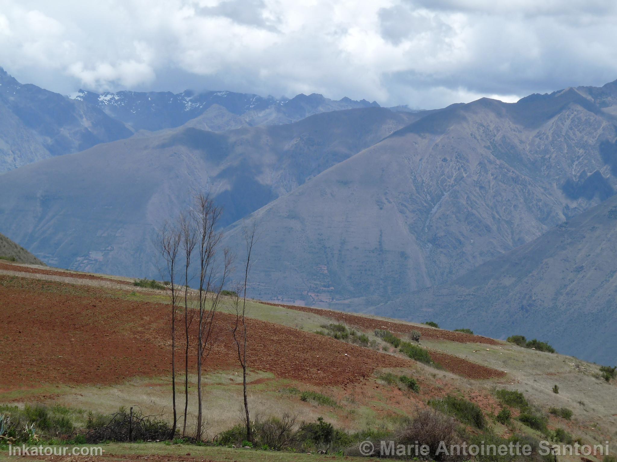 Photo of Peru