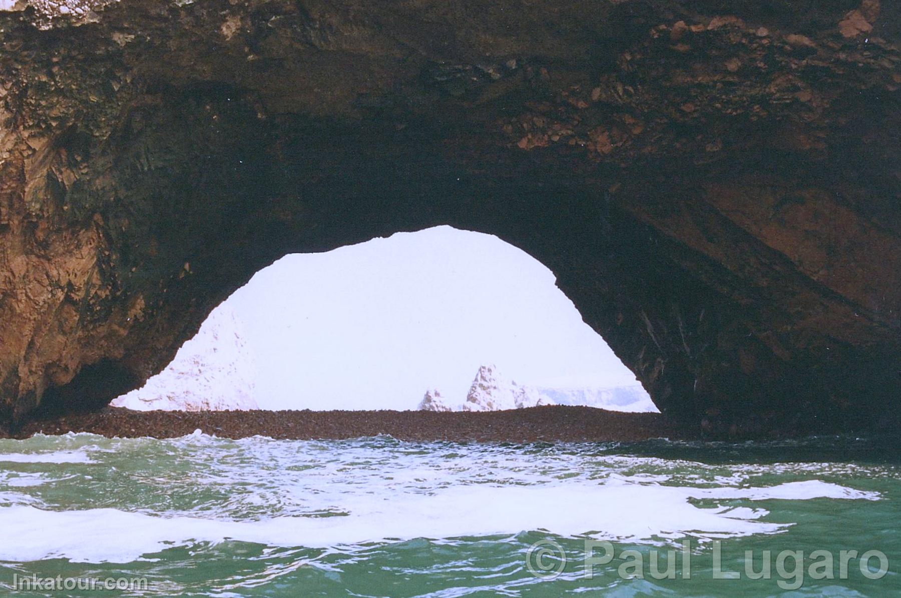 Ballestas Islands, Paracas