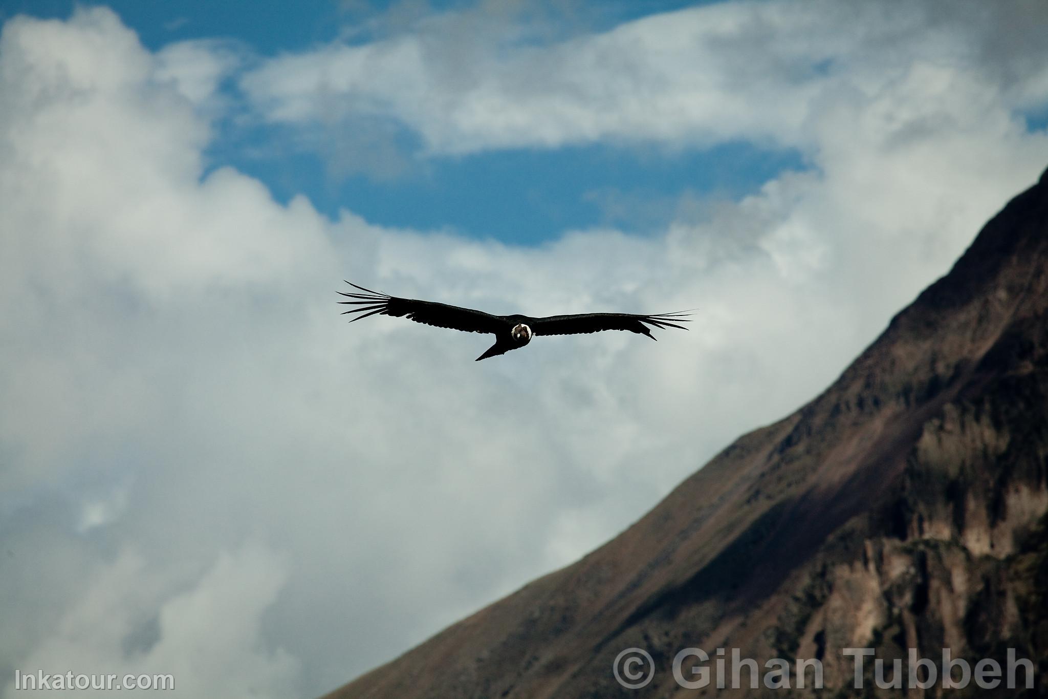 Photo of Peru