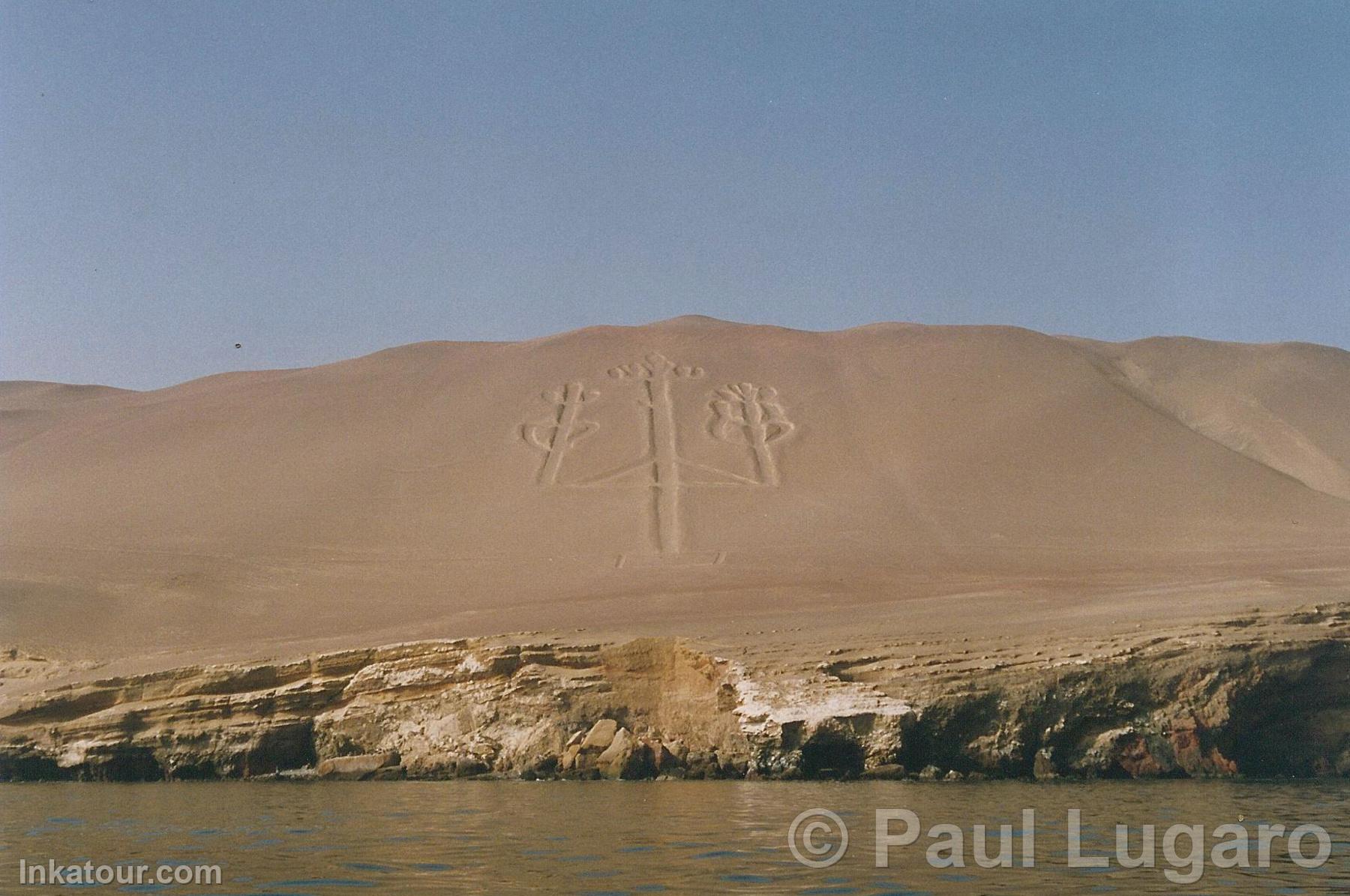 Ballestas Islands, Paracas