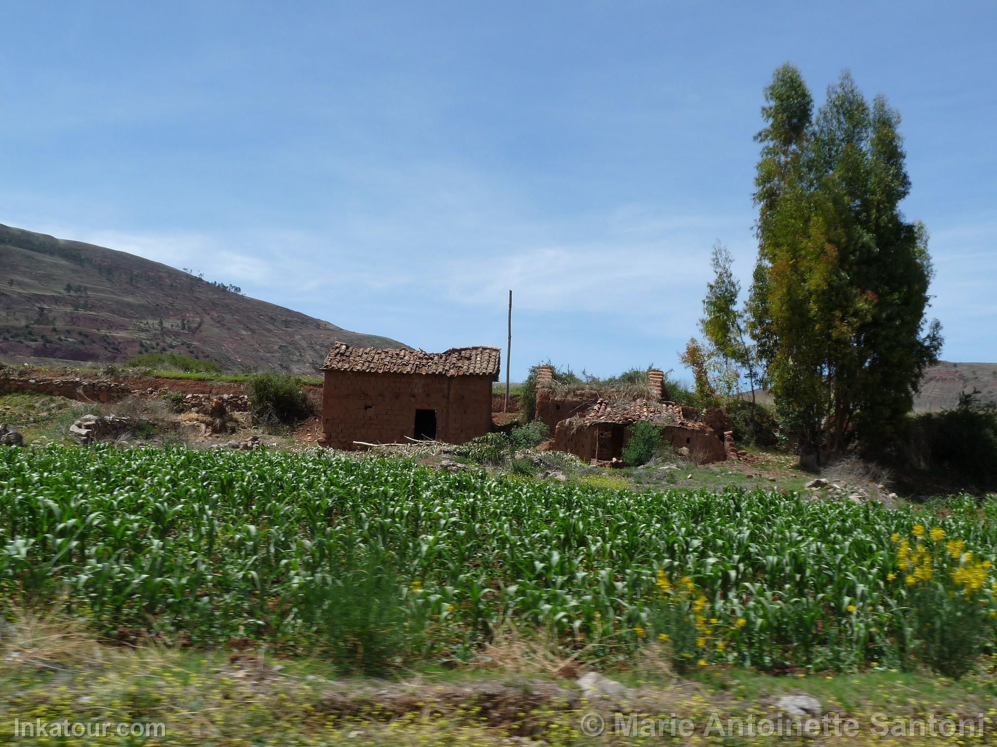 Photo of Peru