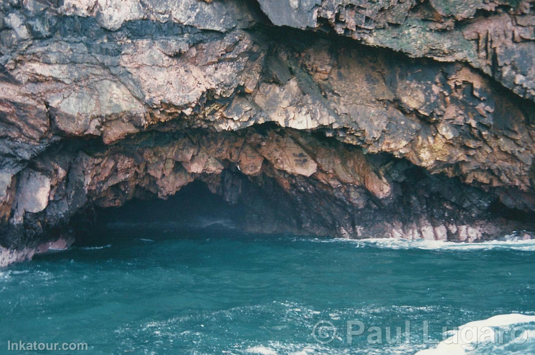 Ballestas Islands, Paracas