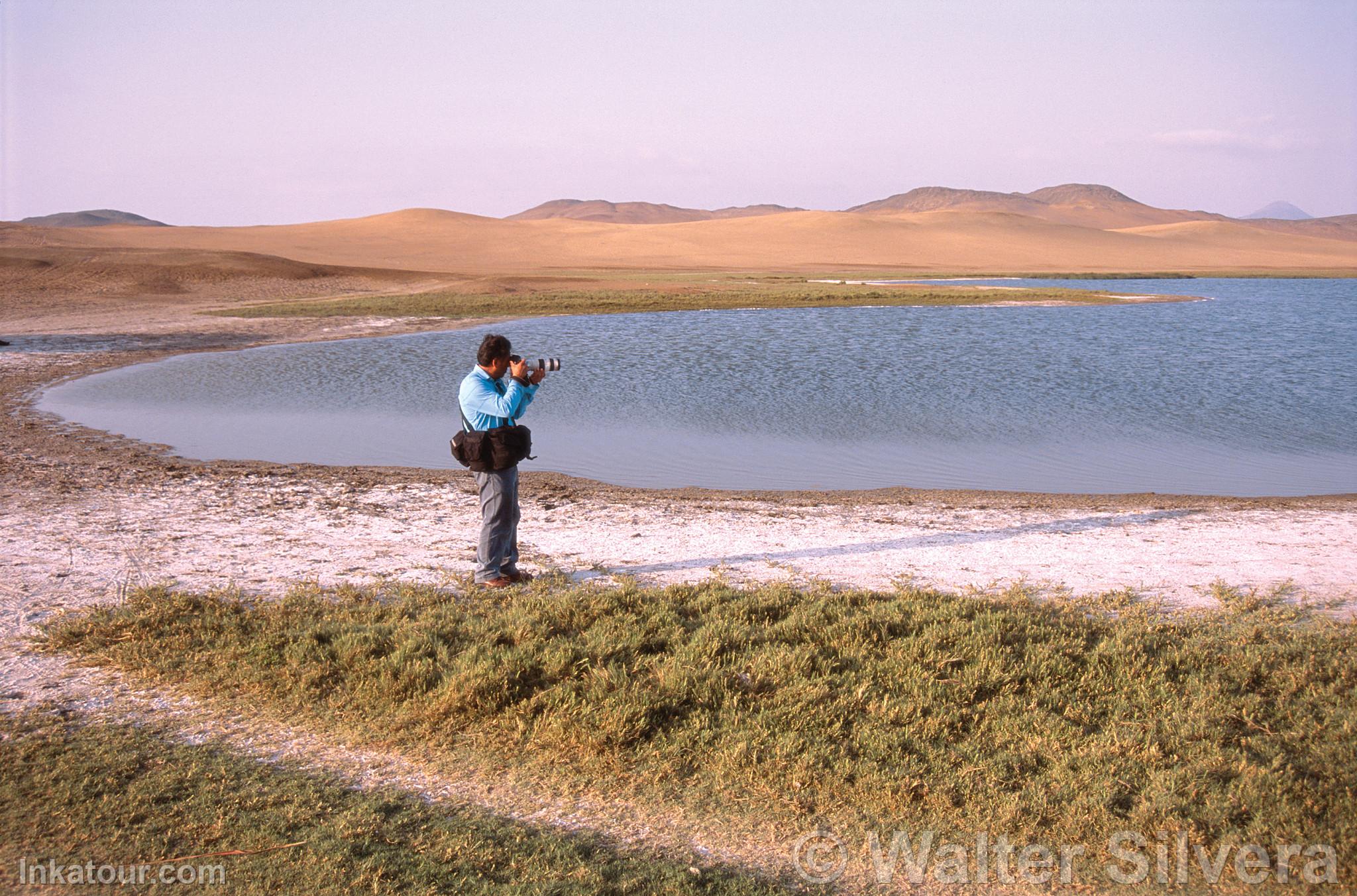 Photo of Peru