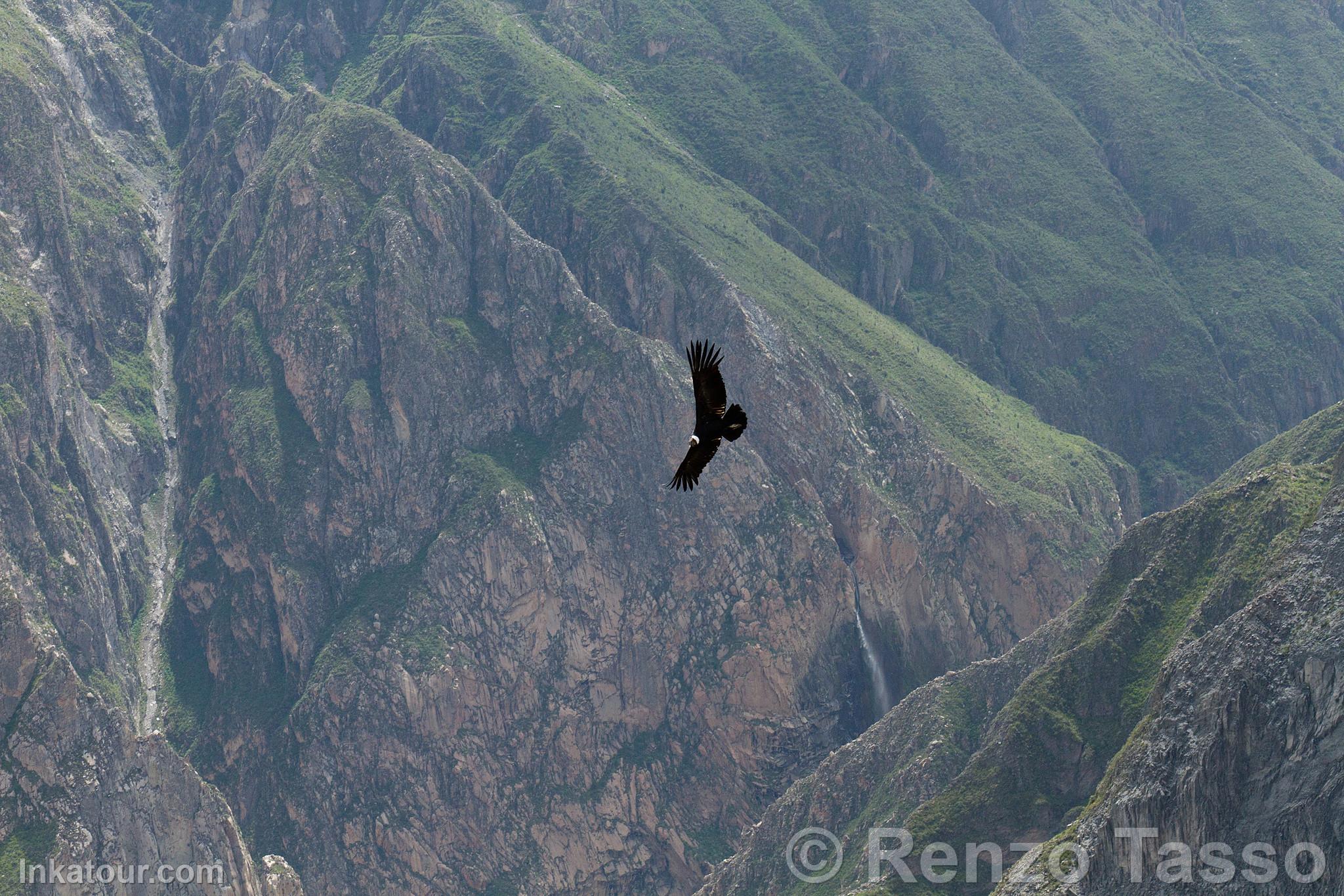 Photo of Peru