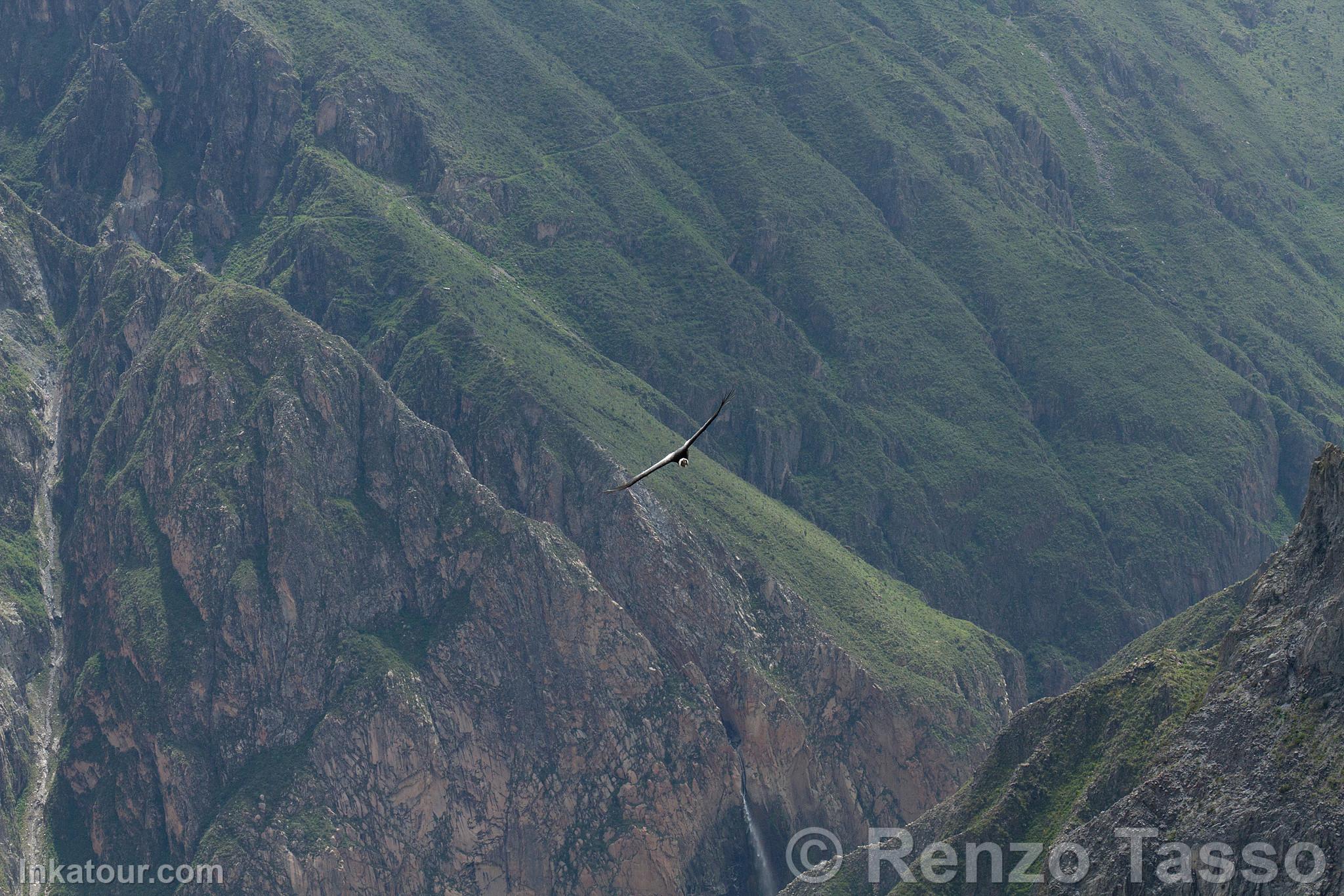 Photo of Peru