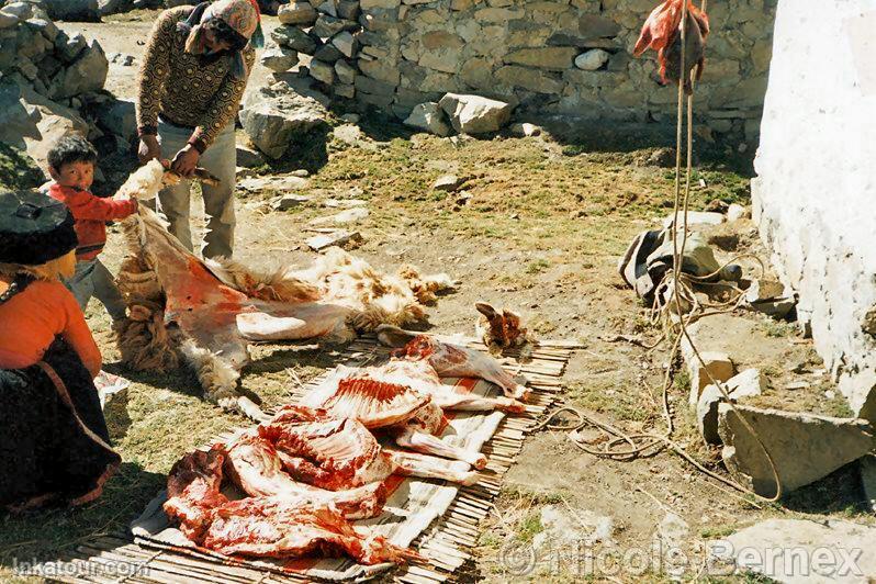 Not very healthy traditions, Ollantaytambo