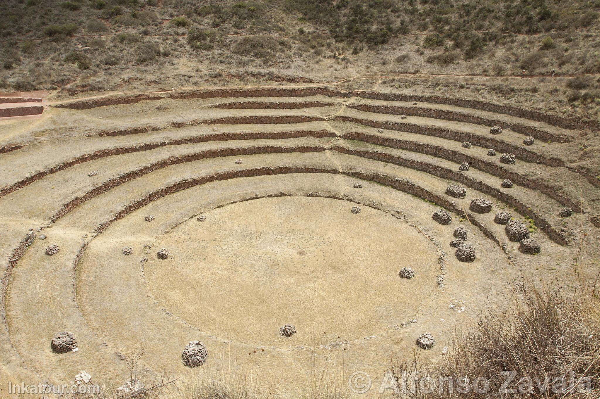 Moray Terraces