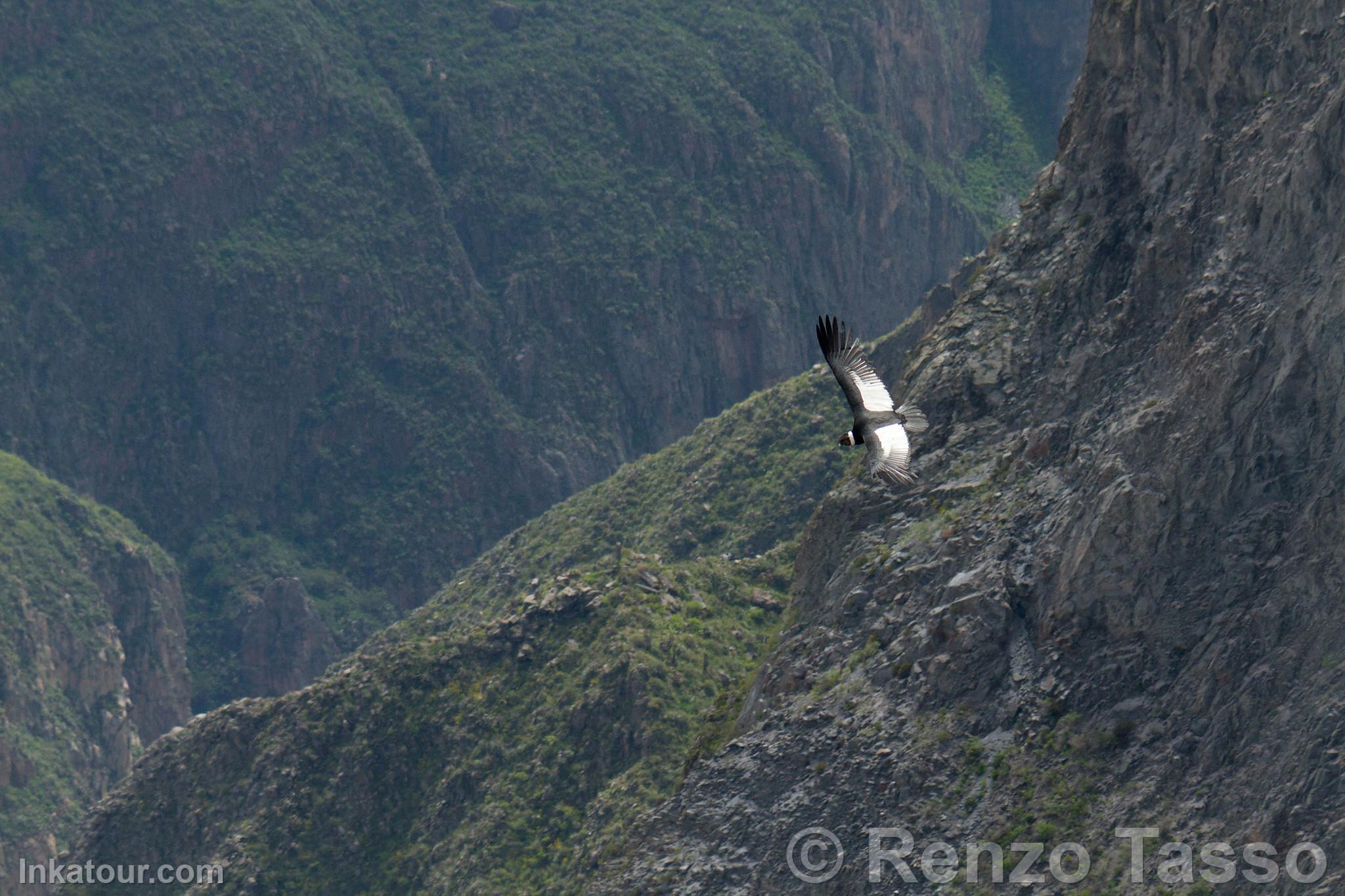 Photo of Peru