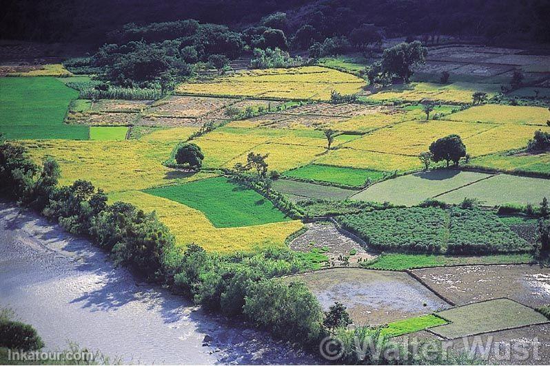 Photo of Peru