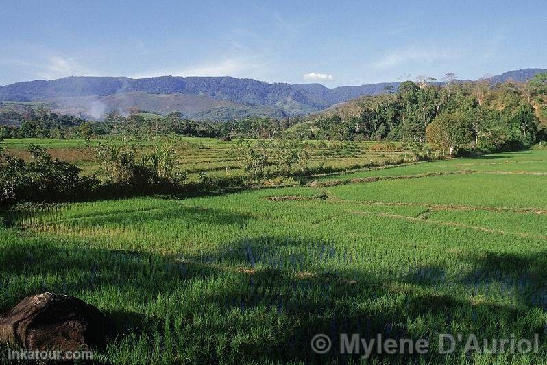 Photo of Peru