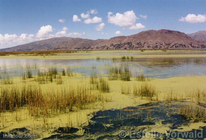 Titicaca Lake