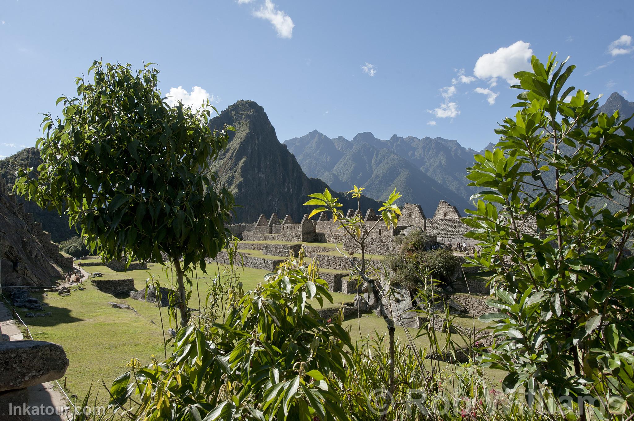 Citadel of Machu Picchu