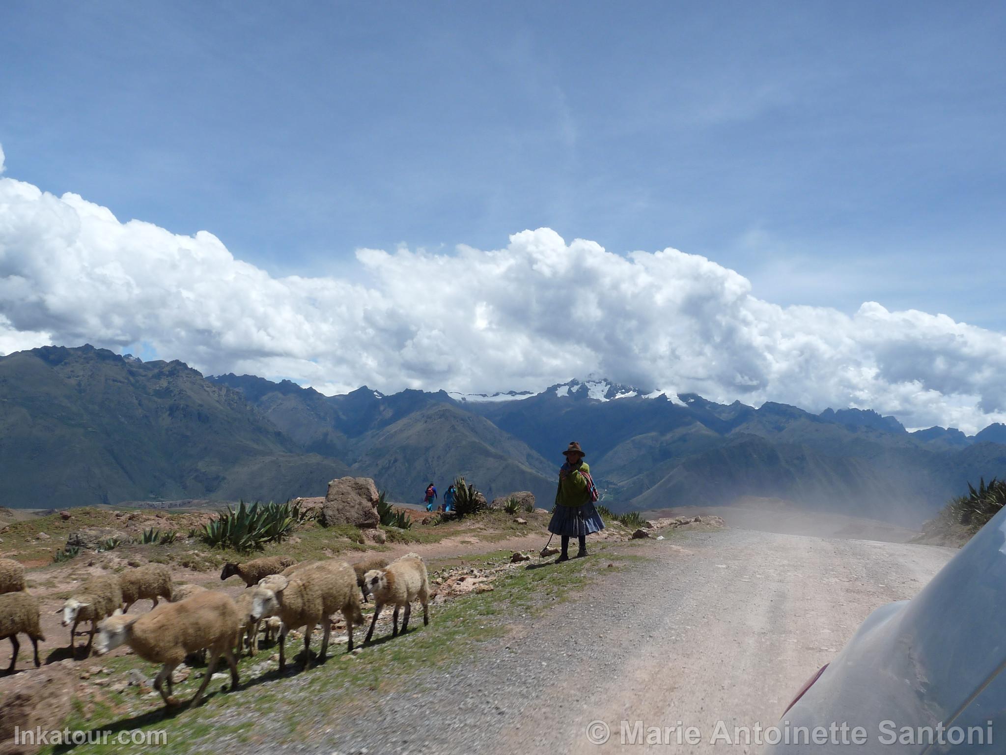 Photo of Peru