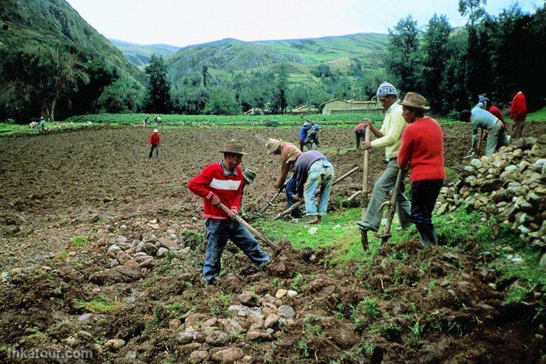 Photo of Peru