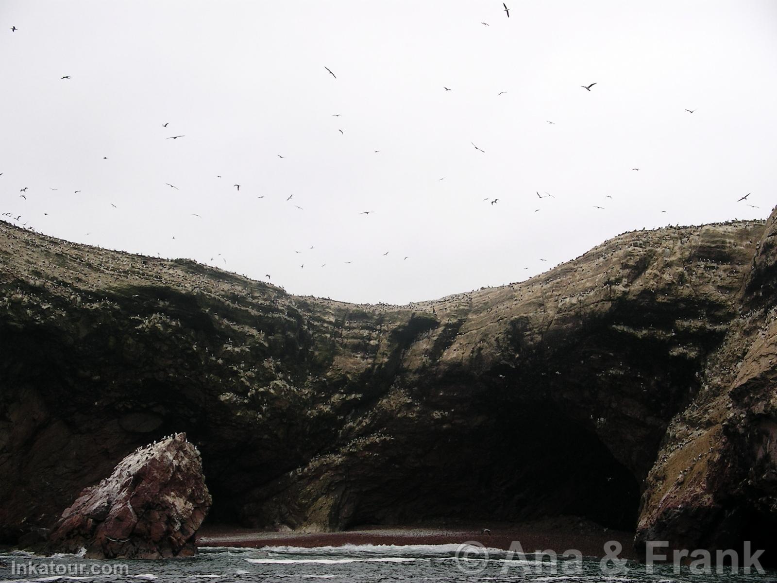 Paracas