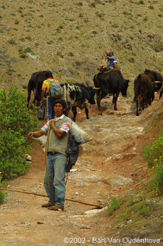 Photo of Peru