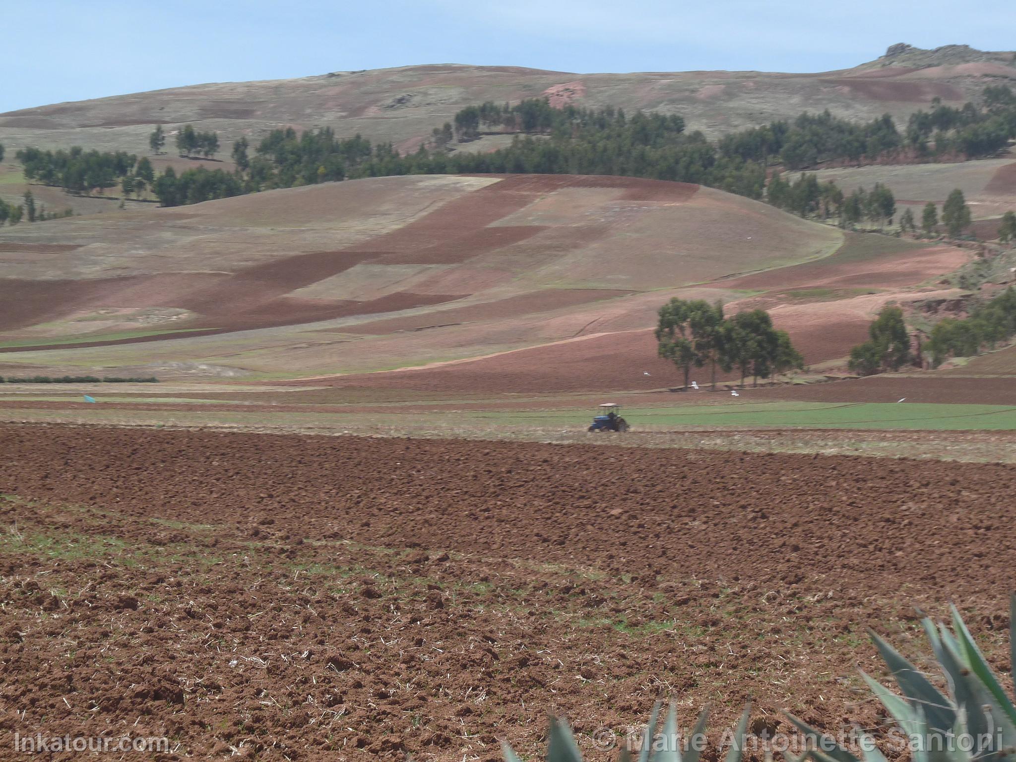 Photo of Peru