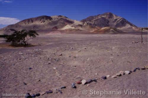 Photo of Peru