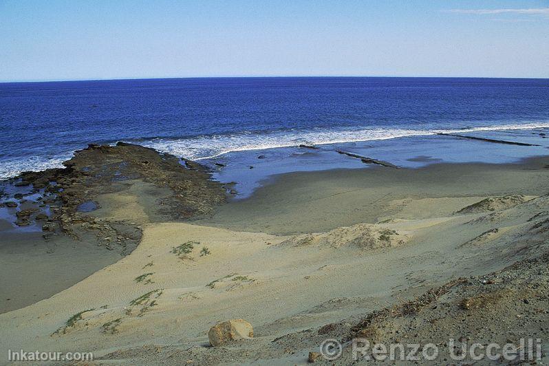 Los Organos Beach, Talara