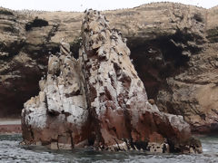 Ballestas Islands, Paracas