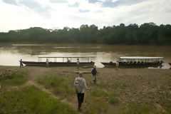 Boats on the Manu river