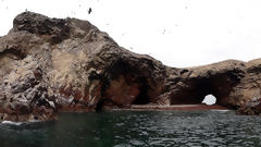 Ballestas Islands, Paracas