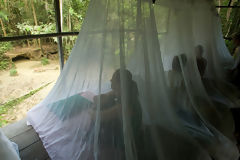 Tourists at the lodge in Manu National Park