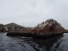 Ballestas Islands, Paracas