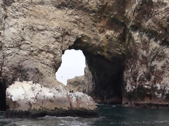 Ballestas Islands, Paracas