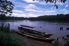 Boca Manu-Puerto Maldonado Route