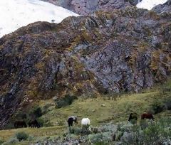 White Cordillera