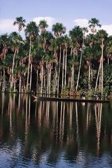 Sandoval Lake, Manu