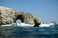 Ballestas Islands, Paracas