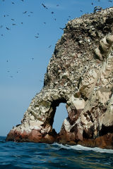 Ballestas Islands, Paracas