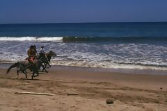 Horses in Punta Sal