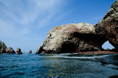 Ballestas Islands, Paracas