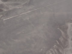 Nazca lines