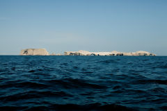 Ballestas Islands, Paracas