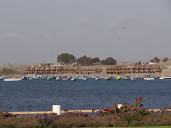 Paracas