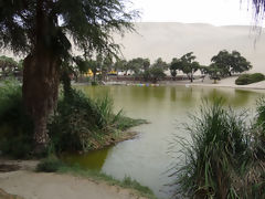 Huacachina